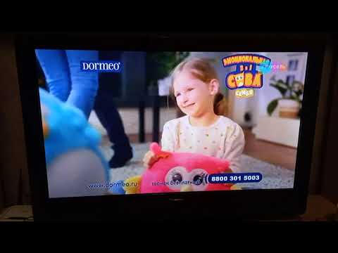 Видео: Сова 🦉 шушу семья часть 2