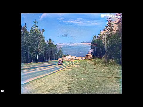 Видео: Сосны заглядваюць у вокны. Наваполацк. 1968 год. 4К, у колеры.