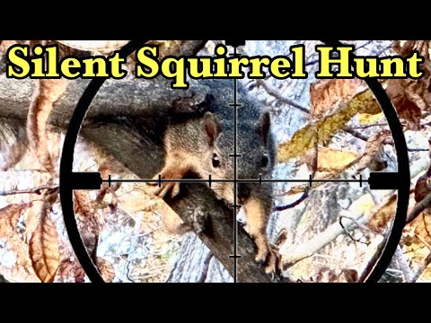 Видео: Бесшумная охота на белку с пневматической винтовкой FX DRS .22 PCP | QRONGE Thunder E-Bike Stealt...