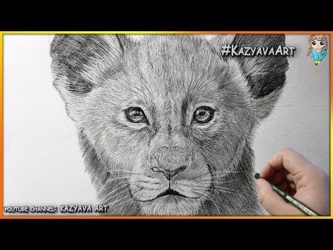 Видео: Как нарисовать львенка Симбу карандашом