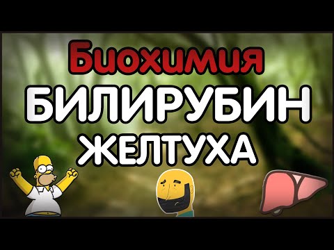 Видео: Биохимия. Лекция 31. Обмен гемоглобина. Типы желтух.