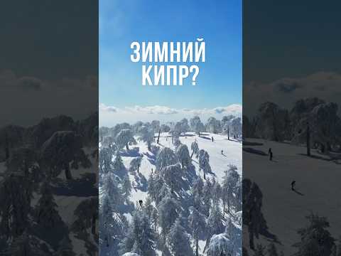 Видео: Как выглядит зимний Кипр? ❄️☃️ #кипр #кипрзимой #зимнийкипр