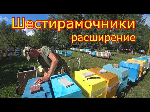 Видео: ШЕСТИРАМОЧНИКИ, Расширение! КАРНИКА в СИБИРИ!