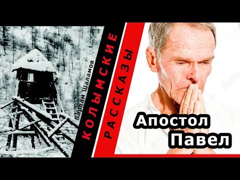 Видео: Варлам Шаламов.  Колымские рассказы.  Апостол Павел |  🎧 Аудио рассказы