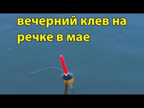 Видео: Вечерний клев на реке 7 мая 2022