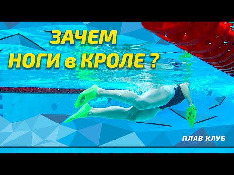 Видео: Зачем пловцу ноги? Кроль по полкам от Юрия Сарамутина.
