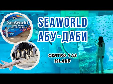 Видео: SeaWorld ВПЕЧАТЛИЛ, отель Centro Yas Island Абу-Даби