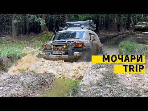 Видео: Мочари Тріп. Карпатський Шлях