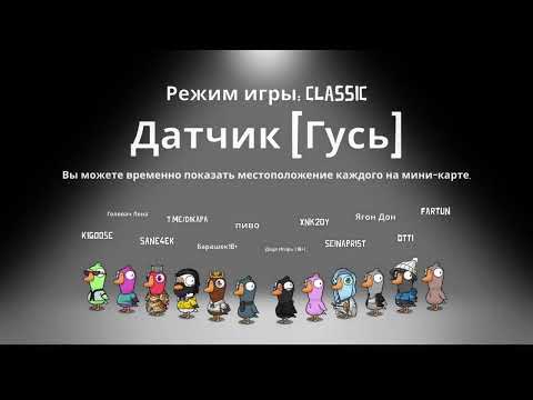 Видео: Я Гусь за попу Кусь (.❛ ᴗ ❛.) (2)