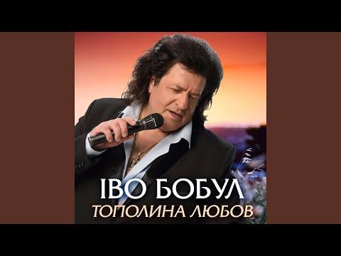Видео: Жоржини