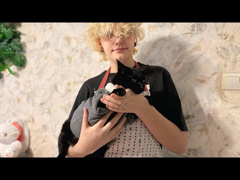 Видео: Обзор комментариев