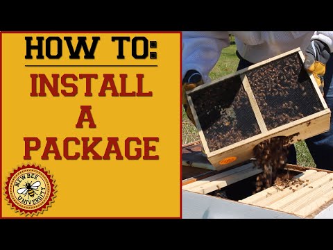 Видео: Как установить пакет пчел