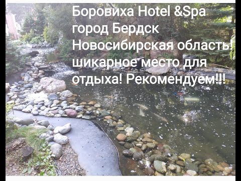 Видео: БОРВИХА HOTEL&SPA. г. Бердск. Новосибирская область