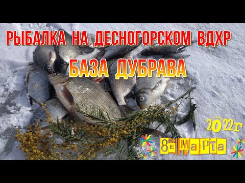 Видео: Десногорское водохранилище. Праздничная рыбалка 8 марта. База Дубрава. Обзор, обстановка, клёв.