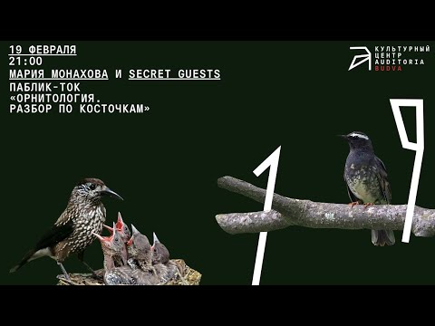 Видео: Паблик-ток «Орнитология. Разбор по косточкам» // Мария Монахова и Александр Борзенко