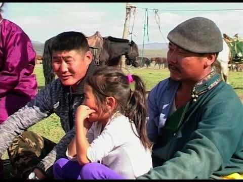 Видео: Адуу янцгааж айраг сэнгэнэсэн нутаг минь уу