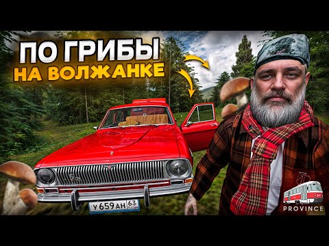 Видео: ДЕД ПОЕХАЛ за ГРИБАМИ! ПРИБЫЛЬНО ИЛИ НЕТ? (MTA Province)