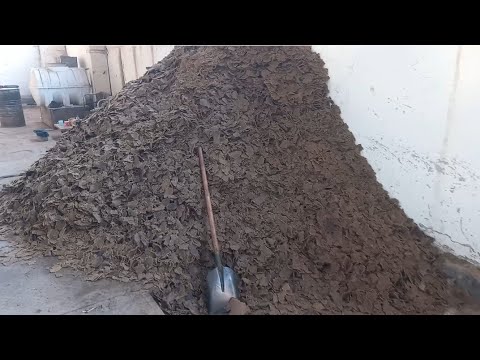 Видео: Сешанбебозори нохияи фархор хамакаса дастгири мекунем