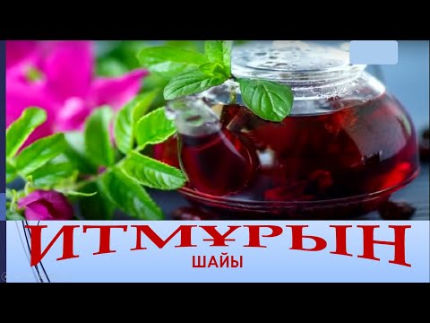 Видео: Итмұрын шайы         #ұбт2025    #оқусауаттылығы