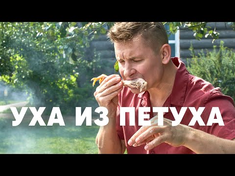 Видео: УХА ИЗ ПЕТУХА | ПроСто кухня | YouTube-версия