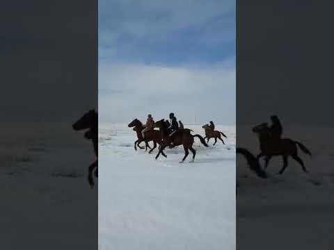 Видео: 31-Желтоқсан 2020ж Кенен ауылы Құнан бәйге