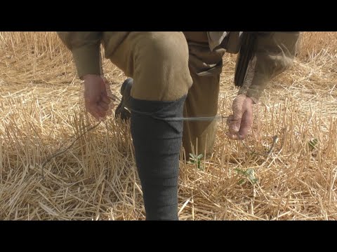 Видео: Как мотать обмотки в РККА? / Red Army Puttees and How to Wrap Them