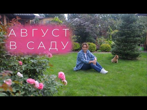 Видео: Август в саду I Сад Людмилы Кудасовой