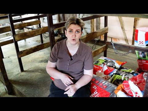 Видео: ШОК! ОПОЗОРИЛАСЬ, ДАЛЬШЕ ПАДАТЬ НЕКУДА!