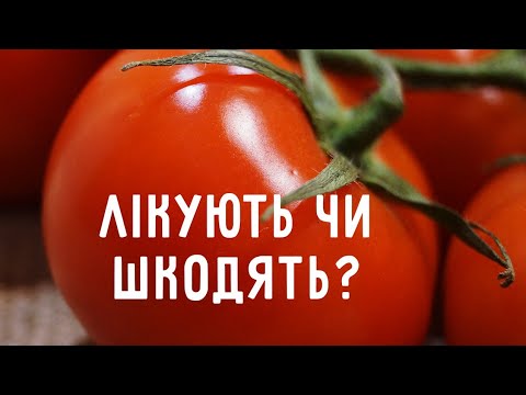 Видео: Жовті чи червоні? Помідори чи томати? Лікують чи шкодять?