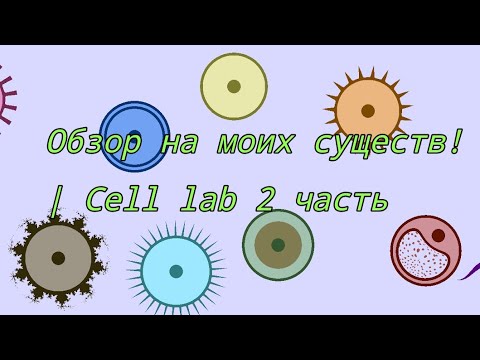 Видео: Обзор моих существ! 2 часть | Cell lab #celllab #микроскоп