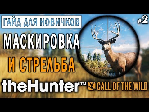 Видео: theHunter Call of the Wild #2 🔫 - Маскировка и Стрельба - ГАЙД для Начинающих