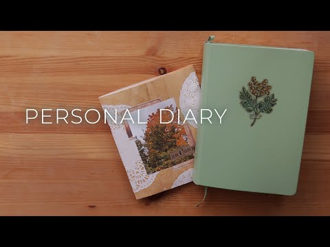Видео: personal diary / мой ЛД #25 (полный обзор)