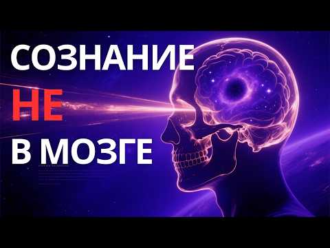Видео: Где живёт твоё «я» на самом деле? Наука приближается к шокирующему ответу