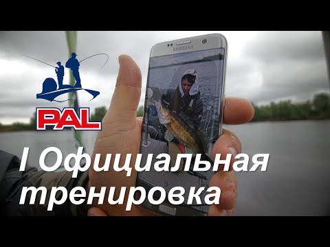 Видео: LIVE. Старт первой официальной тренировки. Первый этап турнира Pro Anglers League 2017