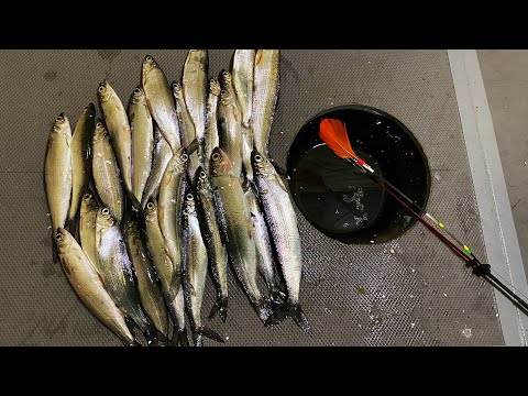 Видео: ДОМОВ НА ЛЬДУ БОЛЬШЕ ЧЕМ В ГОРОДЕ! рыбалка на ДИЧАЙШЕЙ ГЛУБИНЕ 31 МЕТР