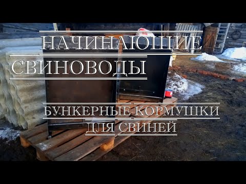 Видео: Бункерная кормушка для свиней