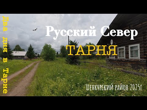 Видео: Русский Север. Тарня.
