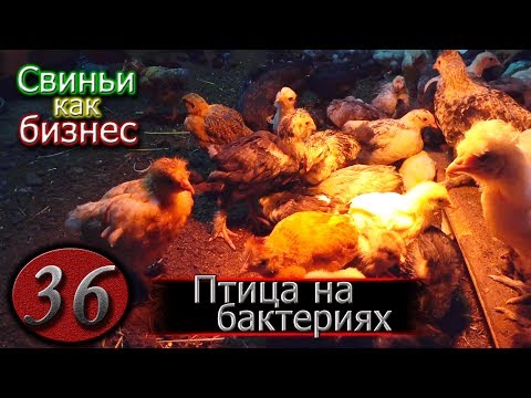 Видео: ОТЗЫВ О ГЛУБОКОЙ ПОДСТИЛКЕ