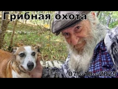 Видео: ГРИБНАЯ ОХОТА
