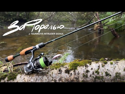 Видео: C такой форелью и лосося не надо┃Легкая рыбалка с TSURINOYA Intruder s534UL 