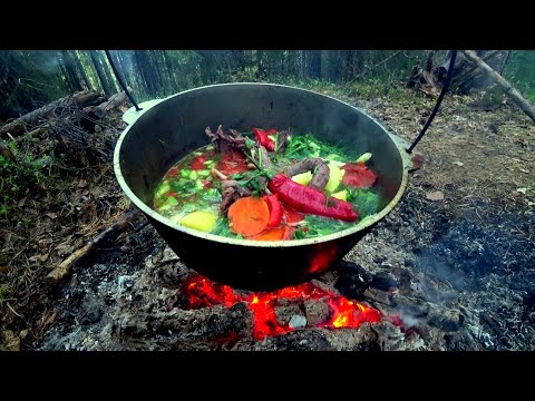 Видео: Один с ночёвкой в лесную избу.Рыбачу на незнакомом озере.Вкуснейший Гусь с овощами на костре