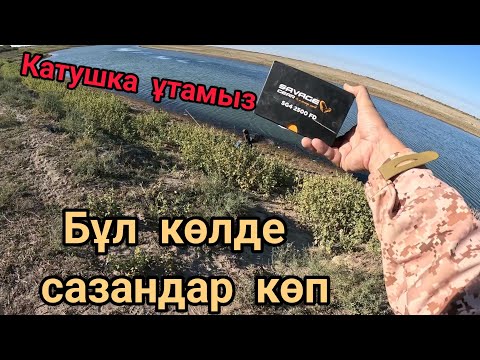 Видео: Сазандар көп,тыным болмады