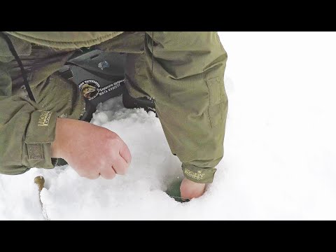 Видео: РЫБАЛКА 2020. ПЛОТВА КАК КАРАСЬ!.. МОЯ ЛУЧШАЯ РЫБАЛКА НА БЕЗМОТЫЛКУ