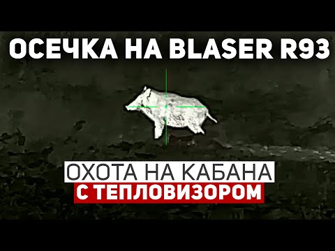 Видео: Осечка на Blaser R93 ⚙️ | Неприятный «сюрприз» чуть не сорвал охоту 😬