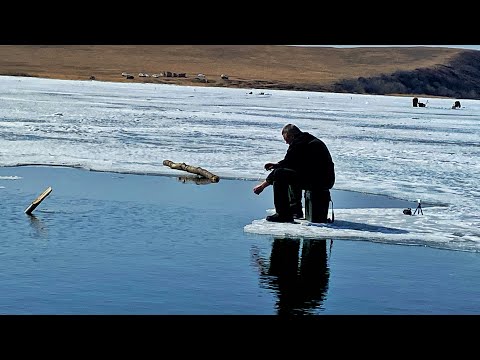 Видео: ПОСТАВИЛ КРЕСТ НА РЫБАЛКЕ И ОШАЛЕЛ!ЛЕСКА ЗВЕНИТ ОТ КИЛЛОГРАММОВЫХ ЛАПТЕЙ! рыбалка на карася весной