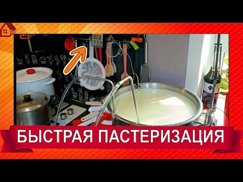 Видео: ПАСТЕРИЗАЦИЯ МОЛОКА для сыра❗ нужна ли она и зачем? Как пастеризовать молоко  в домашних условиях?