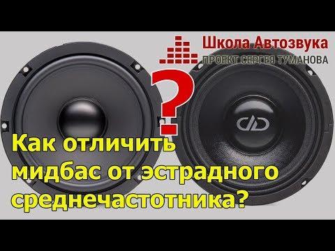 Видео: Как отличить мидбасовый динамик от эстрадного  среднечастотника?