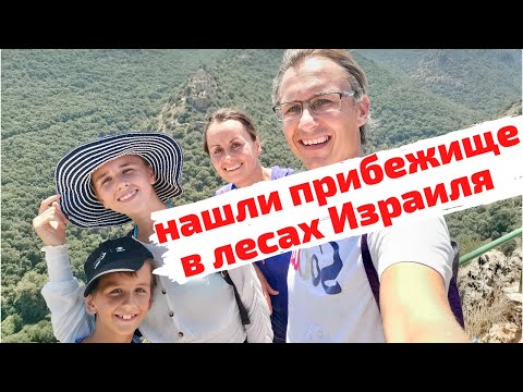 Видео: Нашли прибежище в лесах Израиля!