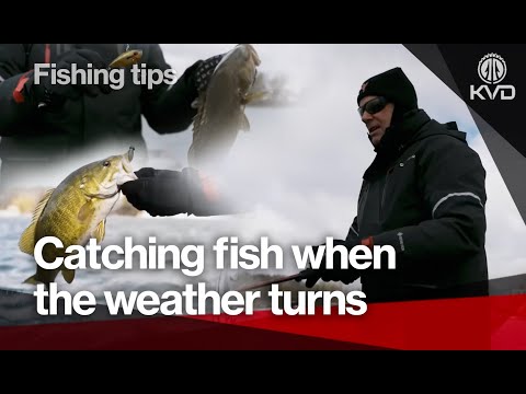 Видео: Как превратить сильный зимний клев в преимущество для вашей рыбалки — с Кевином ВанДэмом