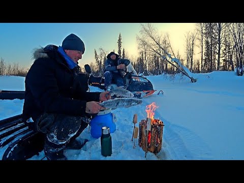 Видео: Вот это рыбалка! Засняли стаю хариуса под водой! Супер клёв! Второй день рыбалки на таёжной речке!